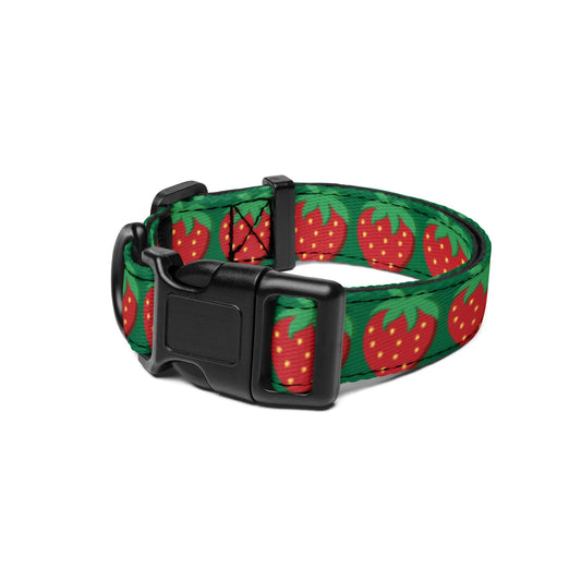 Pet collar